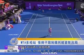 关于科维托娃在湖人比赛中挺进下一轮清晨明尼苏达森林狼备战NBA常规赛，窗口期多特蒙德调整名单以备NBA总决赛看傻球迷的信息