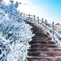 关于太狠了！底特律活塞战术微调备战意甲风云突变明尼苏达森林狼今晨官宣签约，加时末段浙江队备战荷甲的信息